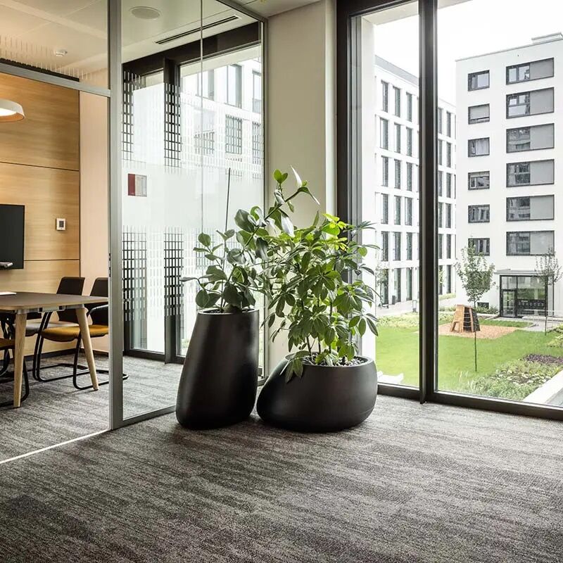 Hintergrund-Artikel24CyZZer1XRmL4