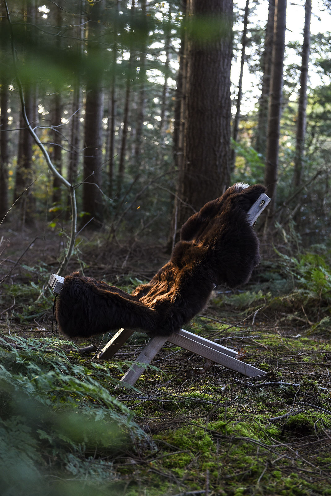 PdVhlZNHWrWc65ia-medium