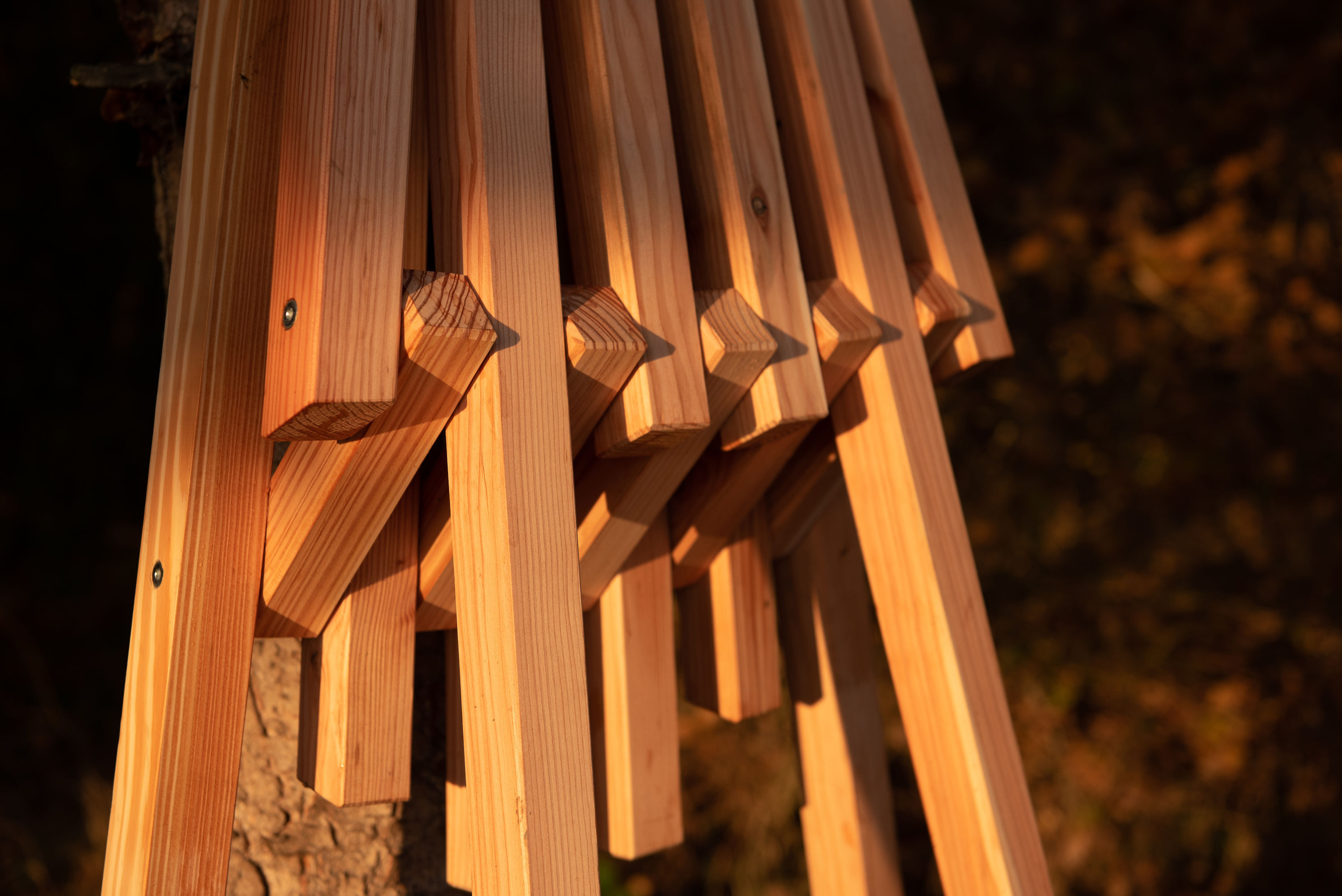 GnVzWExG0LLuWhzm-large