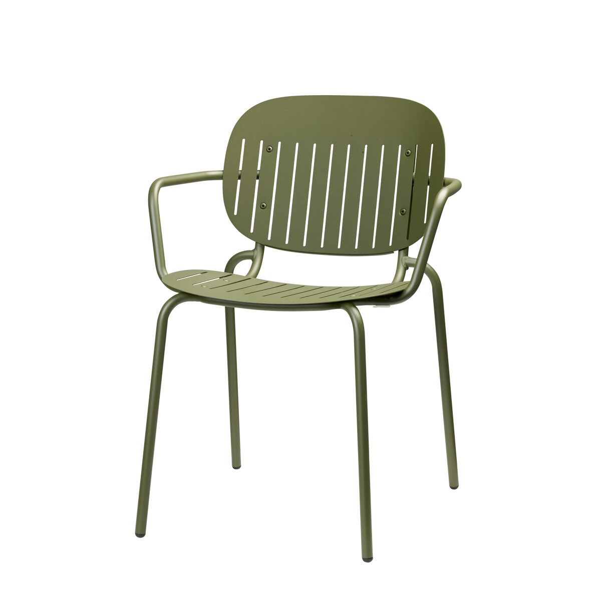 2507-olive3