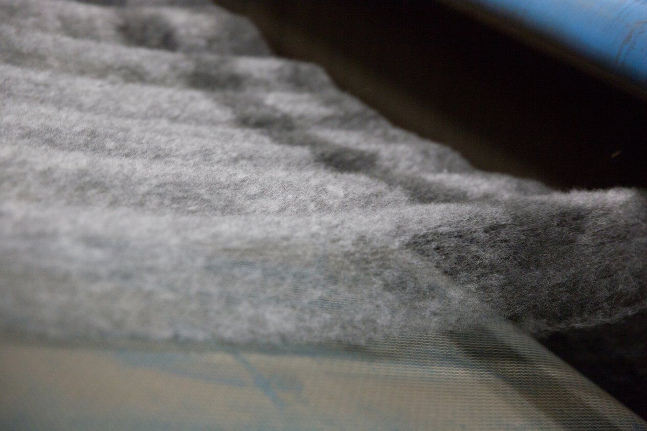 7F5B9327_2-LRGKeUL53H6w8mZS