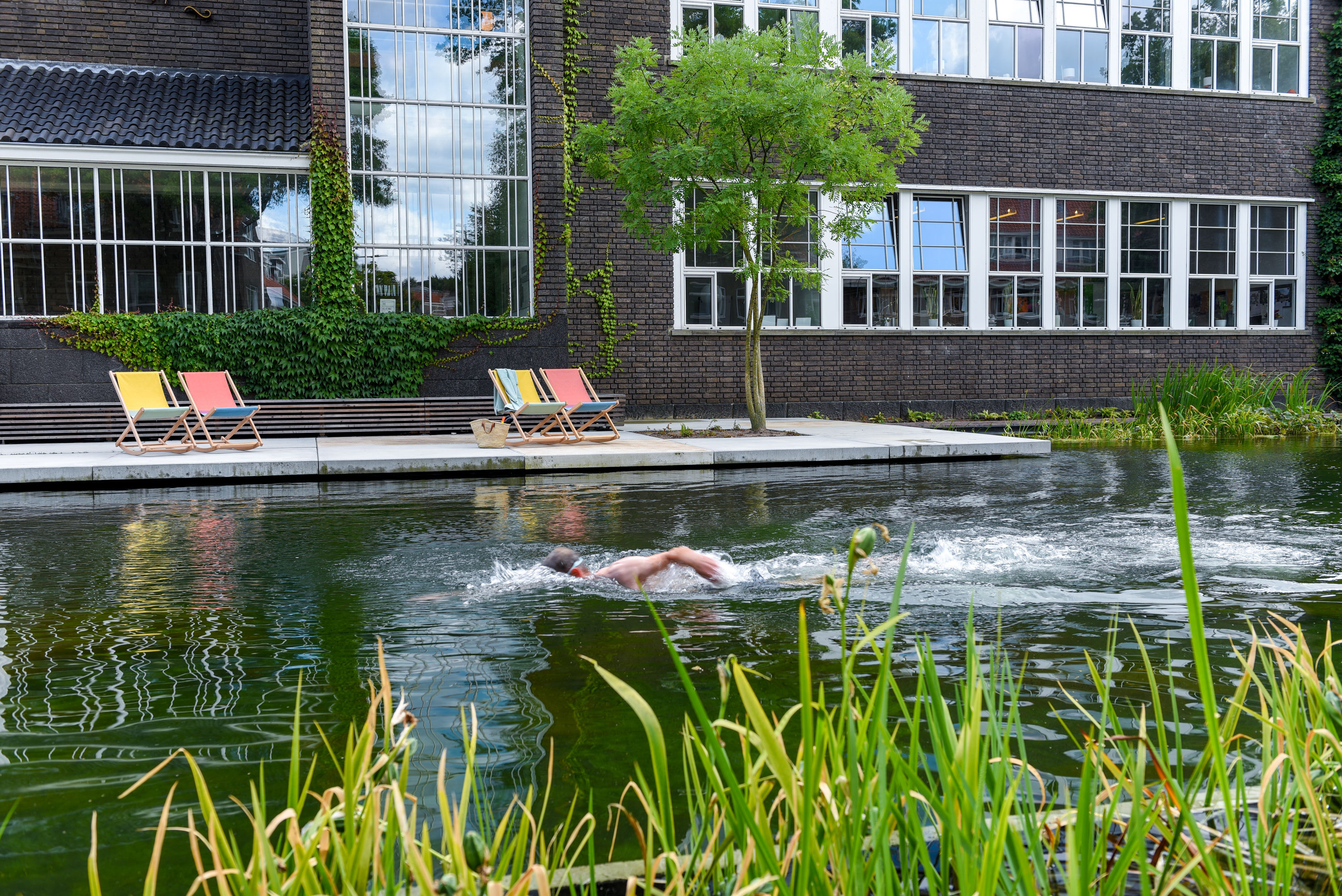 R0NXipQTZjlauBFR-large