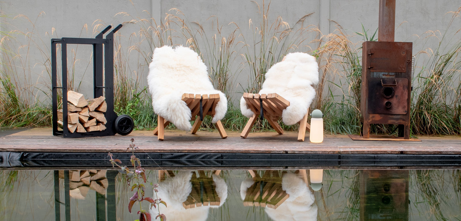 ELIC2M2NO1poNWXH-medium